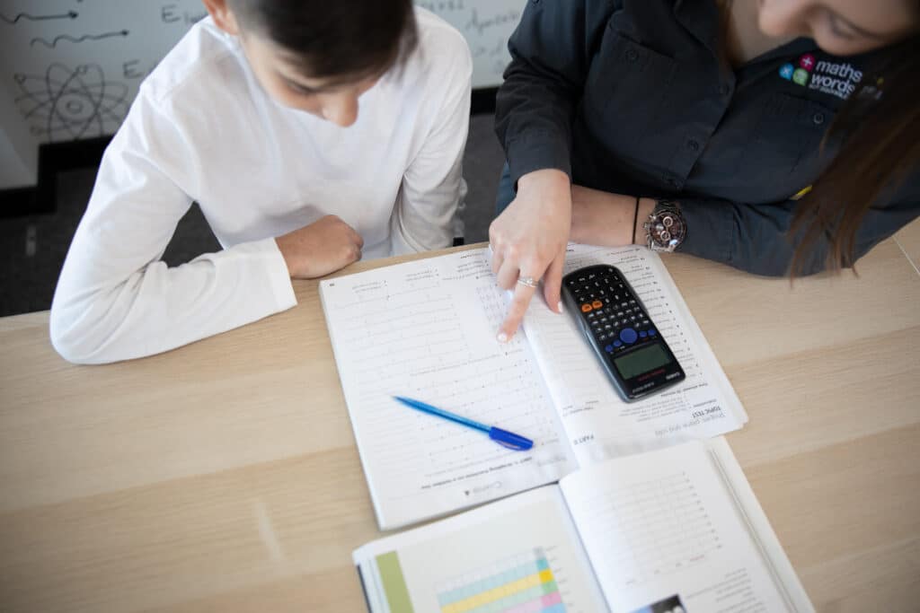 Ms Giorgia and Young Boy Learning High School Maths