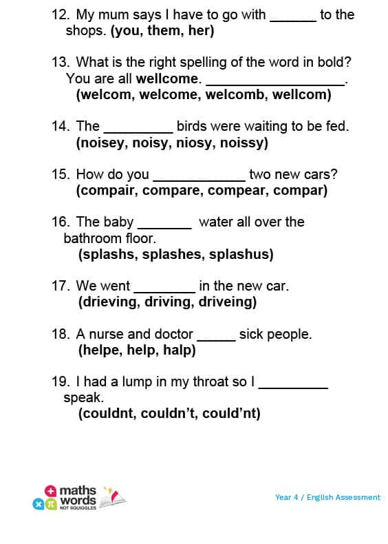 Year 4 English Questions Preview 5