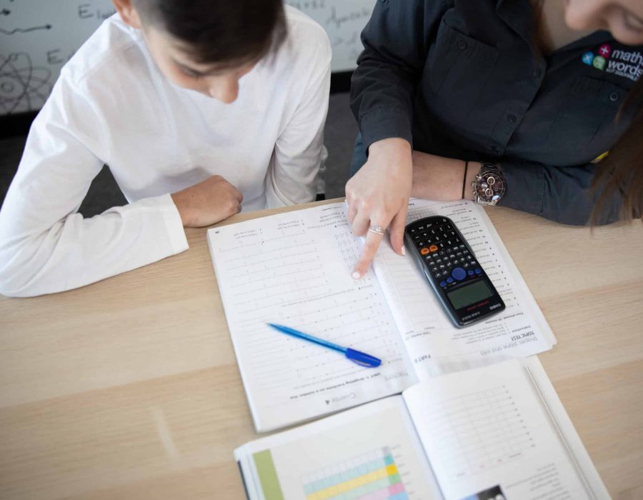 Ms Giorgia and Young Boy Learning High School Maths